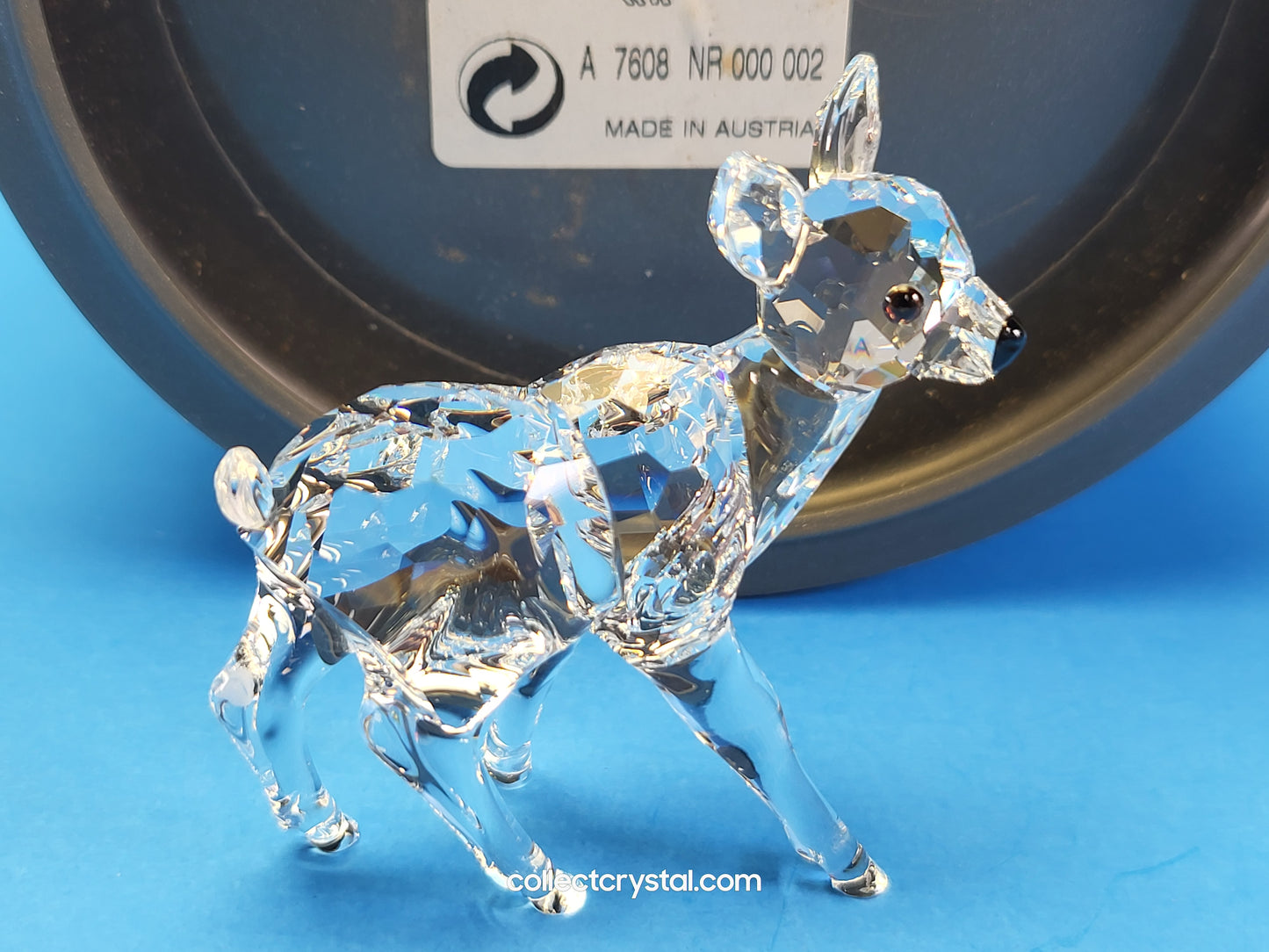 Fawn doe Deer baby 235045