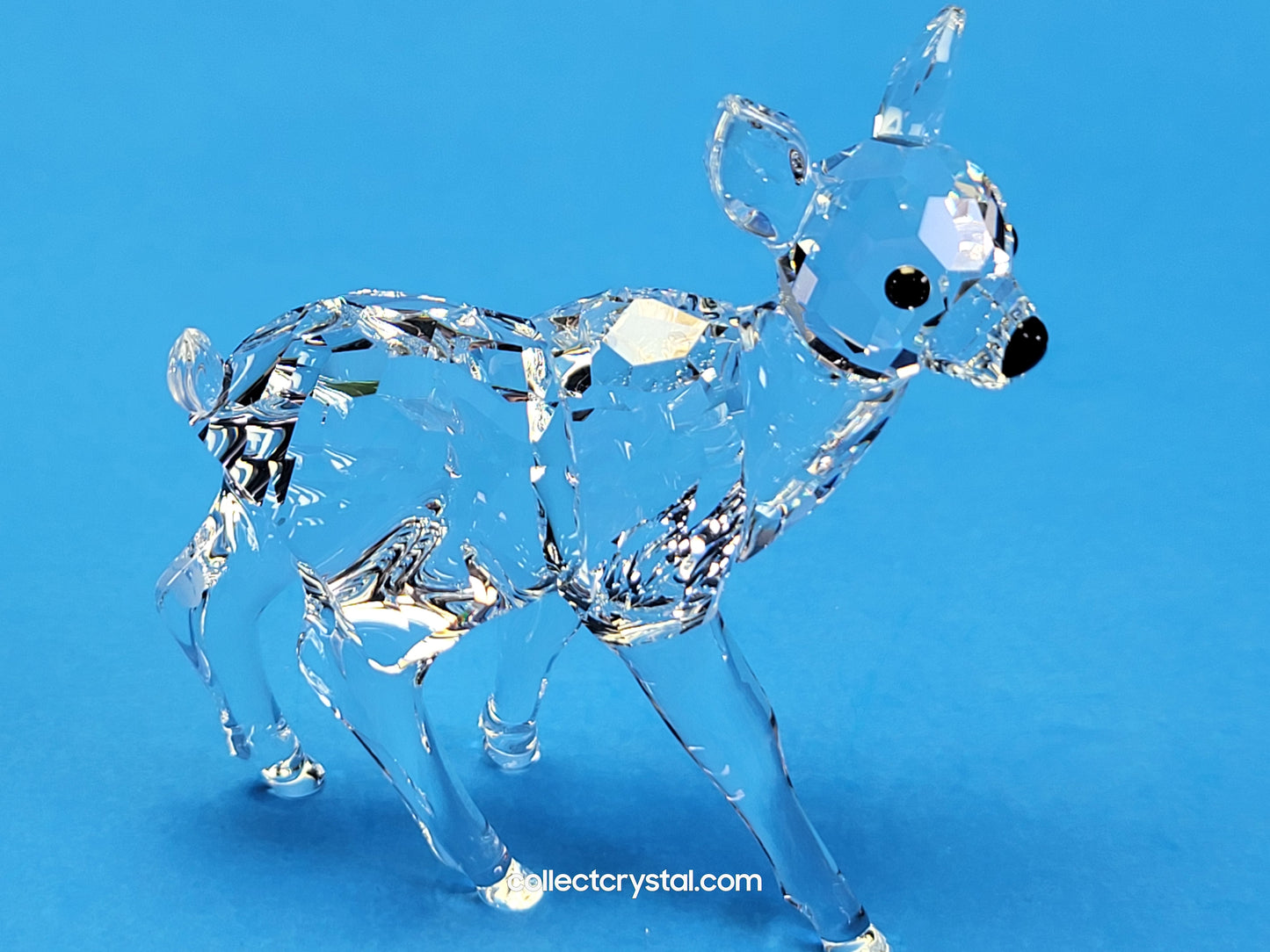 Fawn doe Deer baby 235045