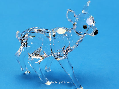 Fawn doe Deer baby 235045