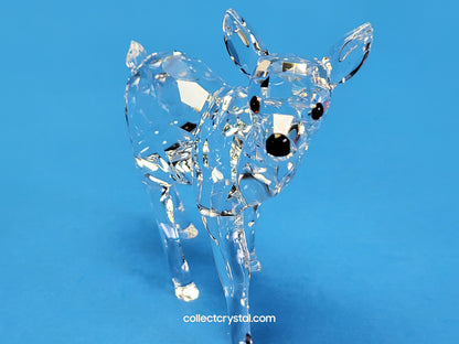 Fawn doe Deer baby 235045