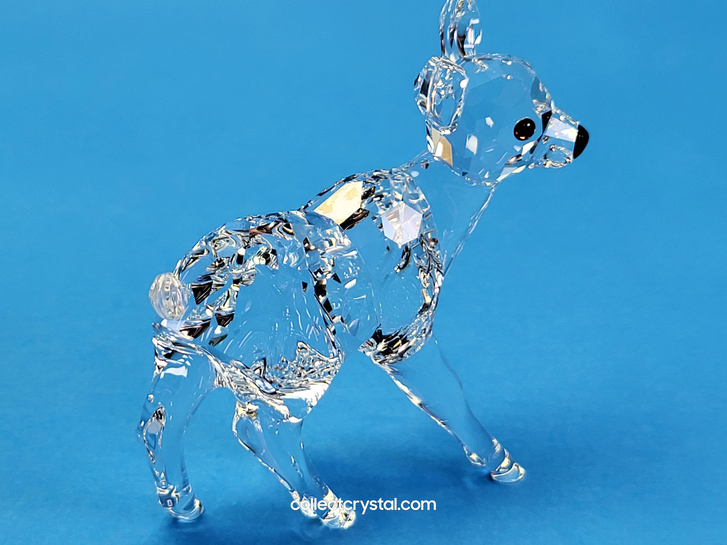 Fawn doe Deer baby 235045