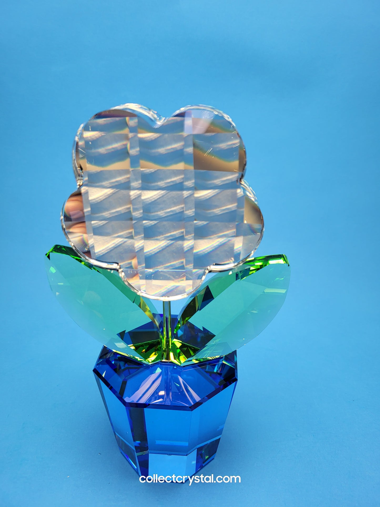HAPPY FLOWER CLEAR LARGE 662518