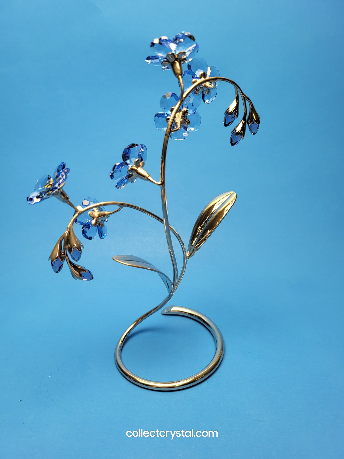 PARADISE FLOWERS – DANUBA SAPPHIRE # 988071 FORGET ME NOT
