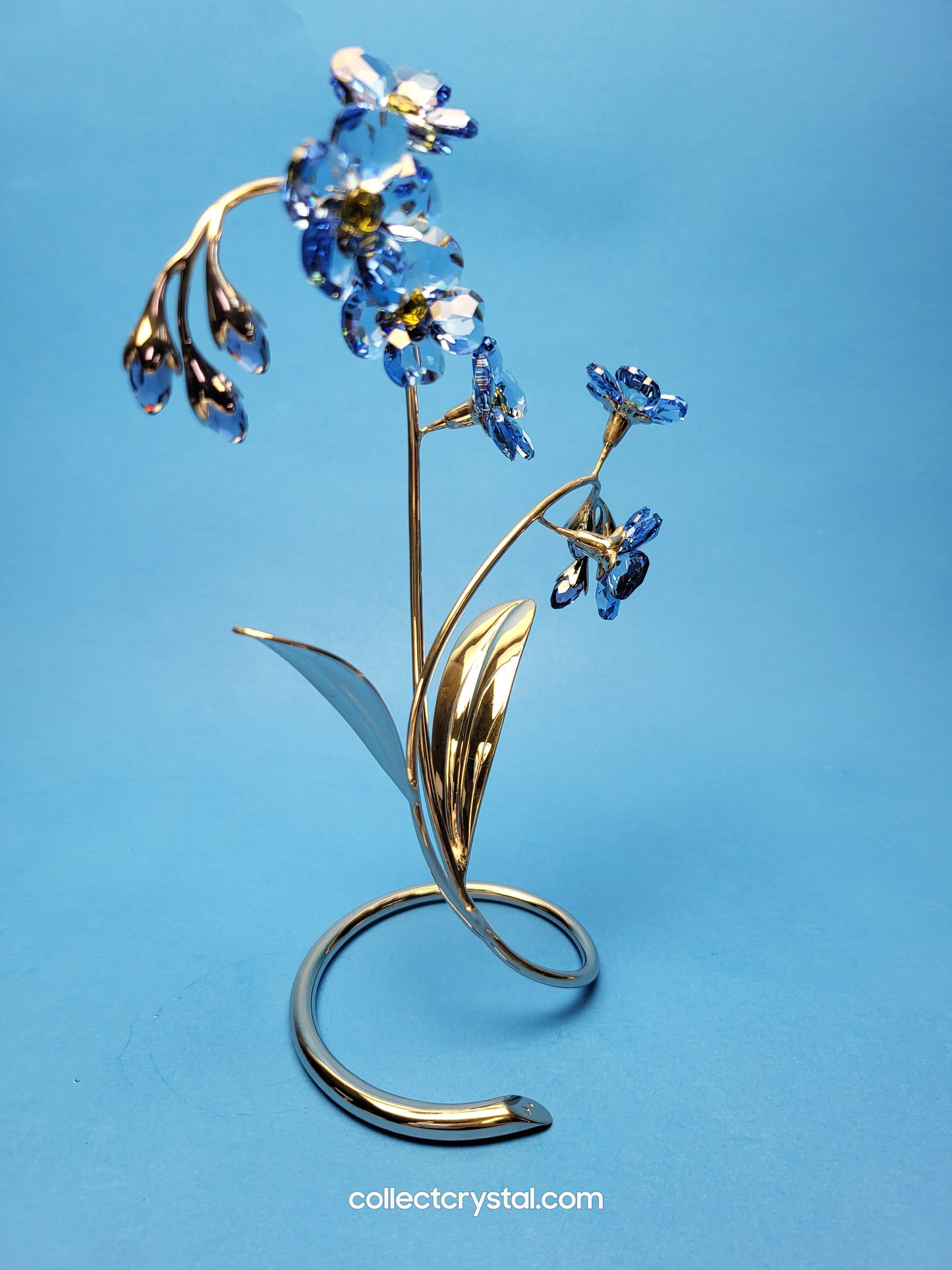 PARADISE FLOWERS – DANUBA SAPPHIRE # 988071 FORGET ME NOT