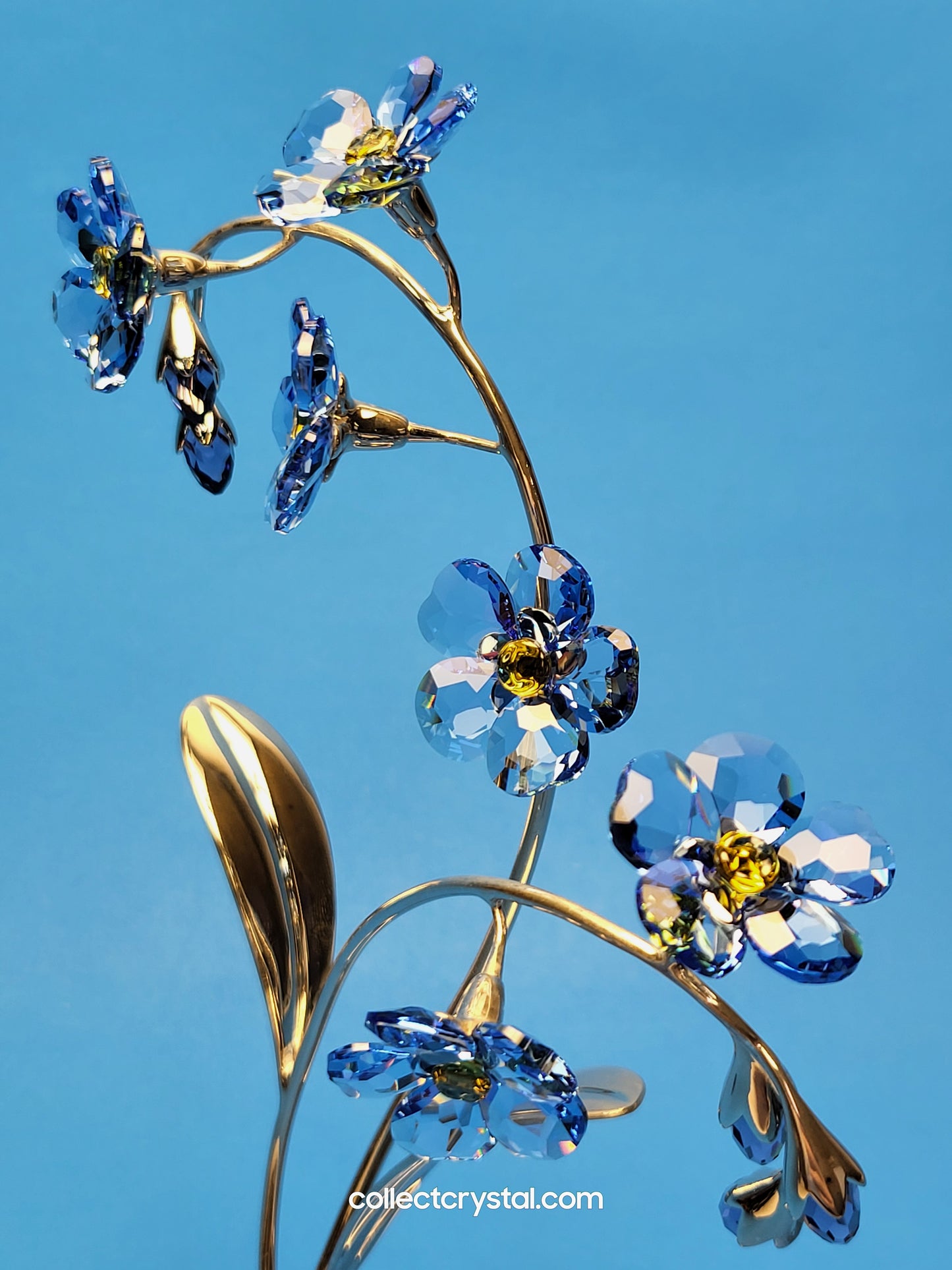 PARADISE FLOWERS – DANUBA SAPPHIRE # 988071 FORGET ME NOT
