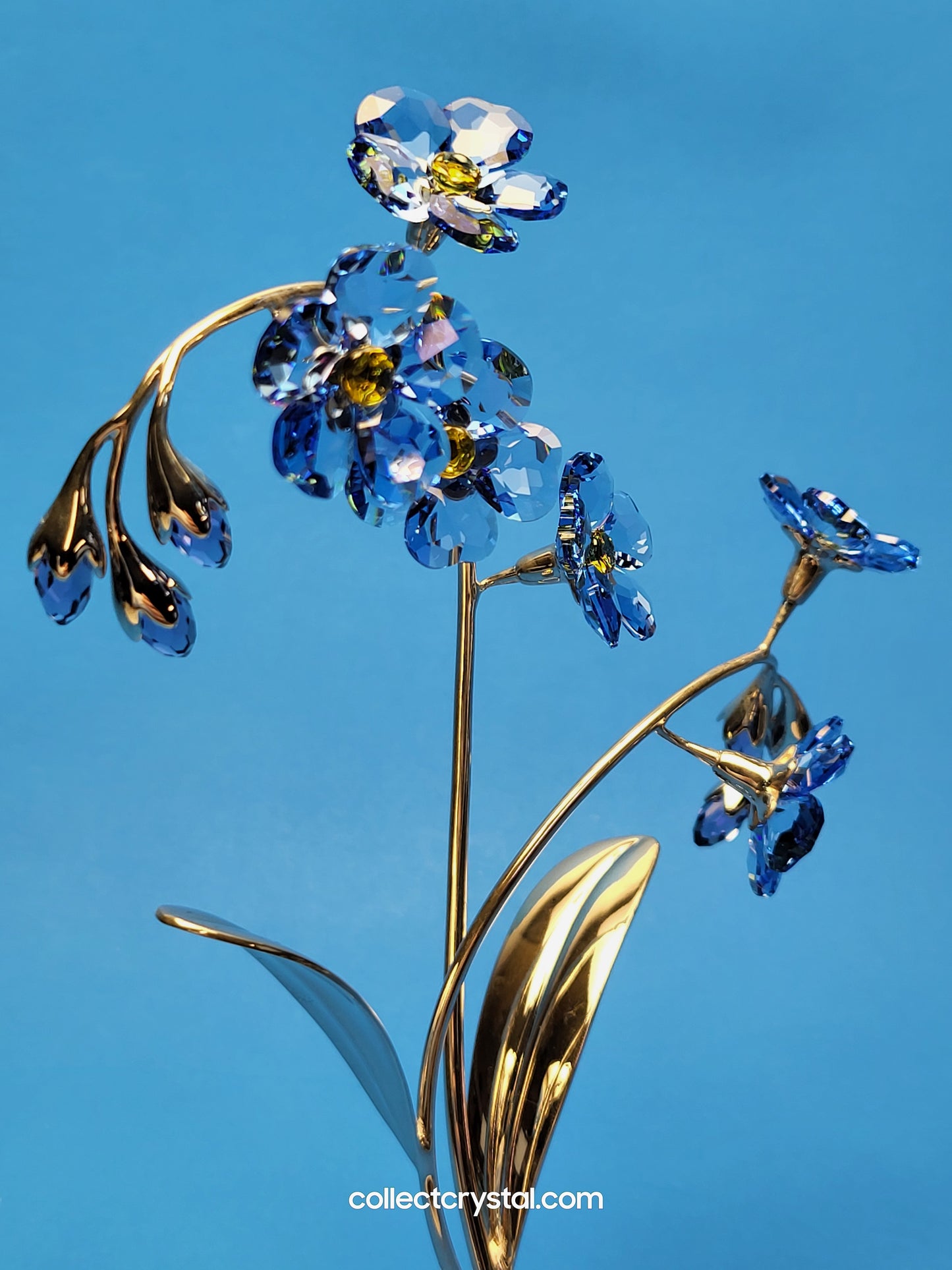 PARADISE FLOWERS – DANUBA SAPPHIRE # 988071 FORGET ME NOT