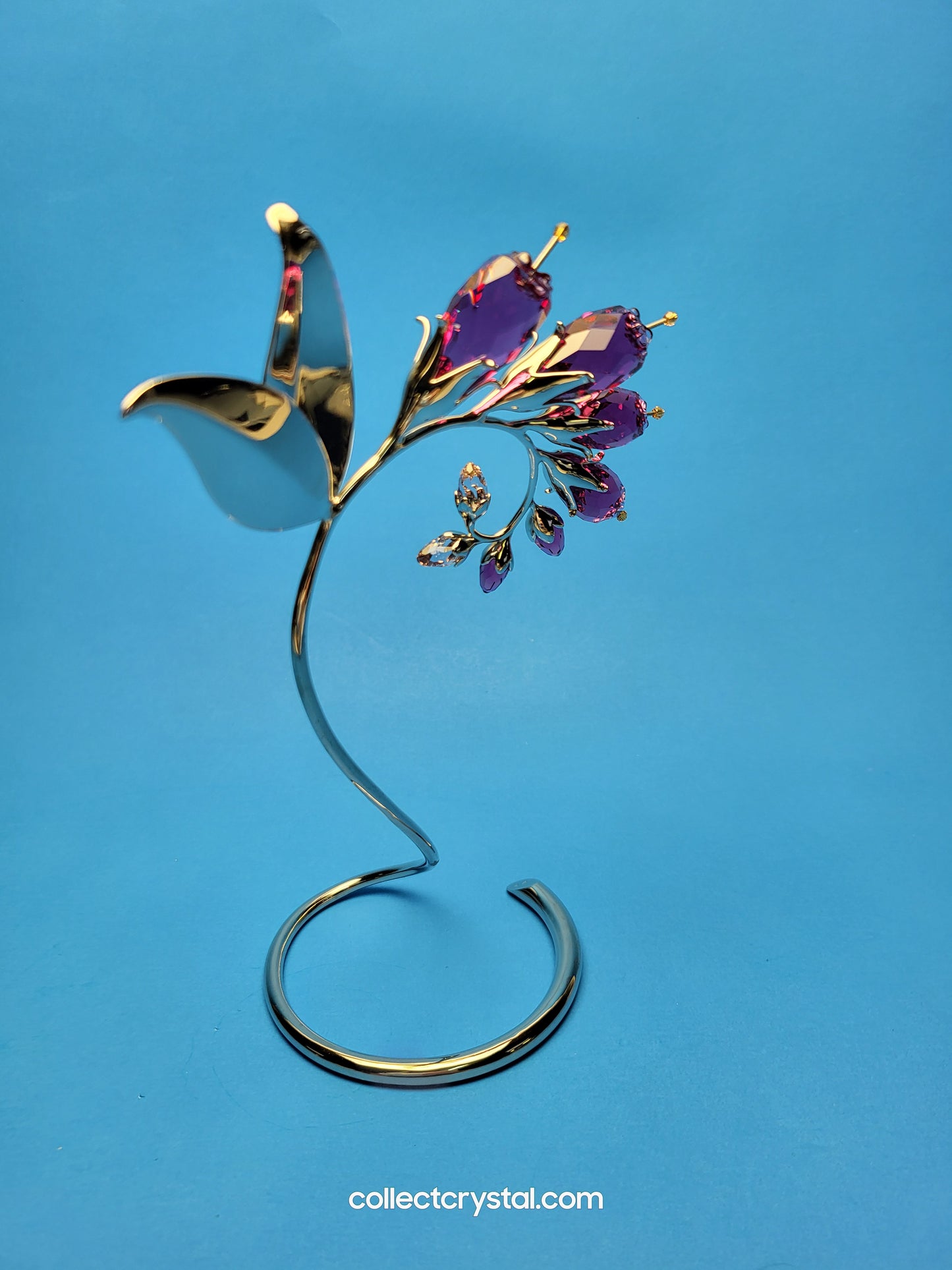 PARADISE FLOWERS – DACEA FUCHSIA 945871