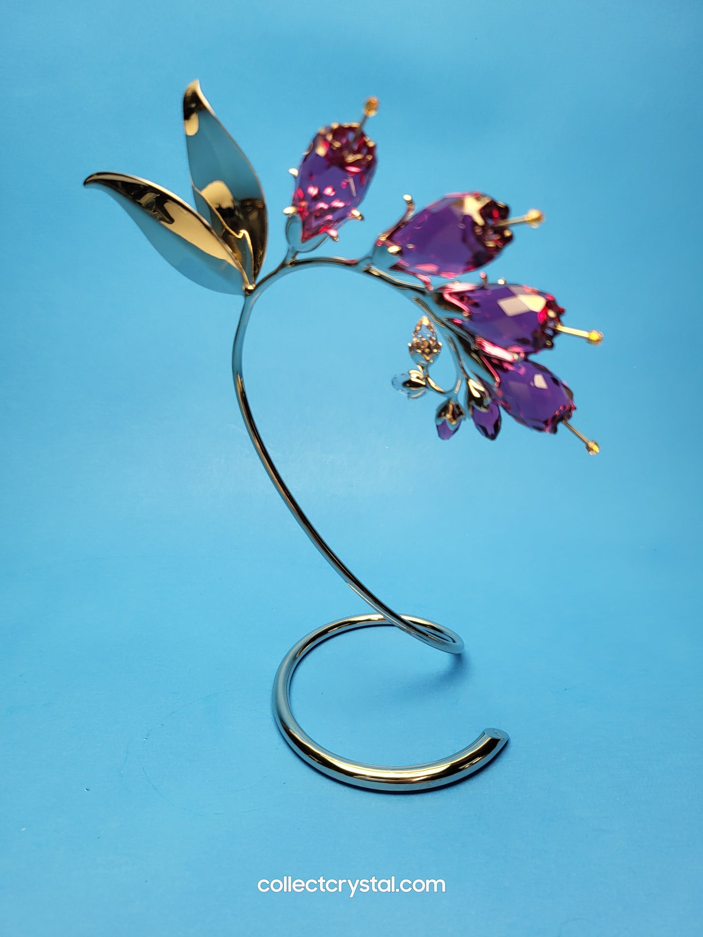 PARADISE FLOWERS – DACEA FUCHSIA 945871