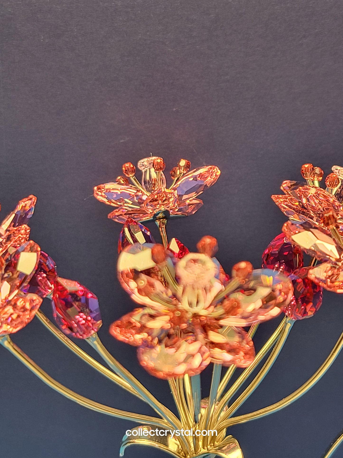 PARADISE FLOWERS – DALISA COCKATOO RED 944911
