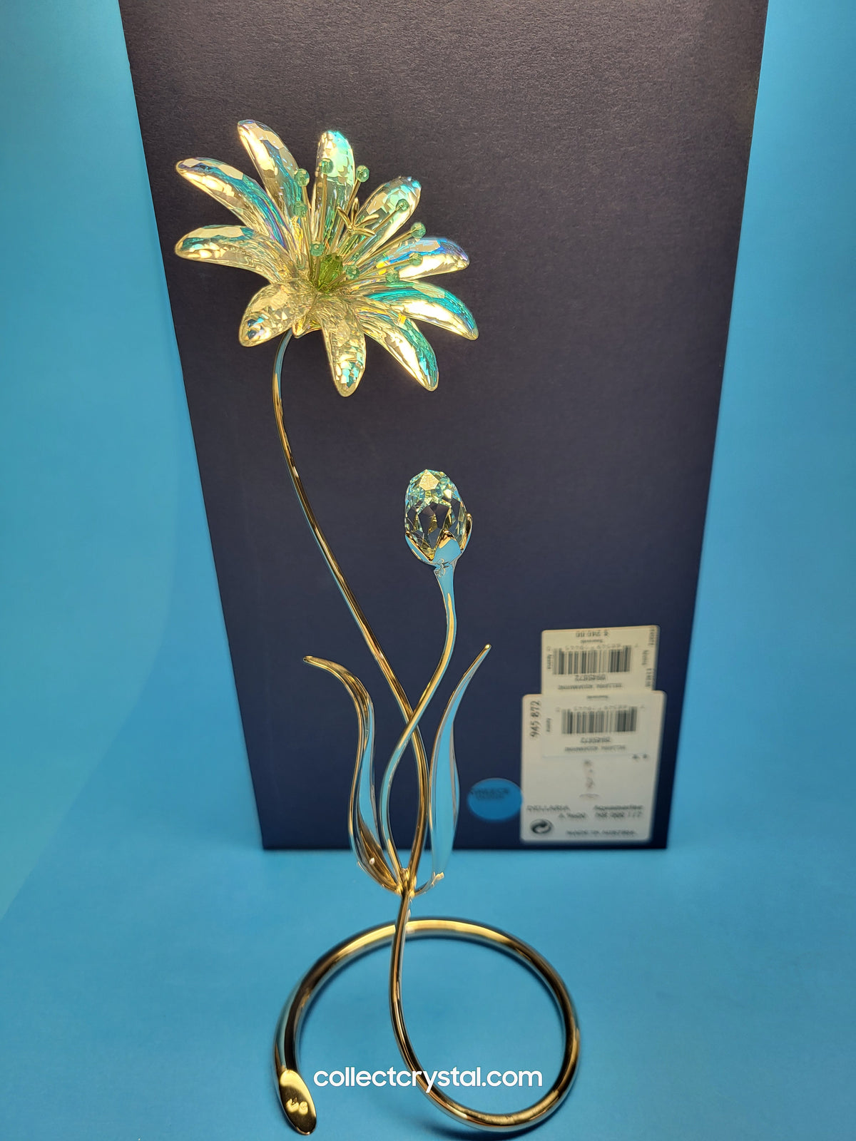 Dellaria Aquamarine - Paradise Flower s # 945872 Aurora Borealis
