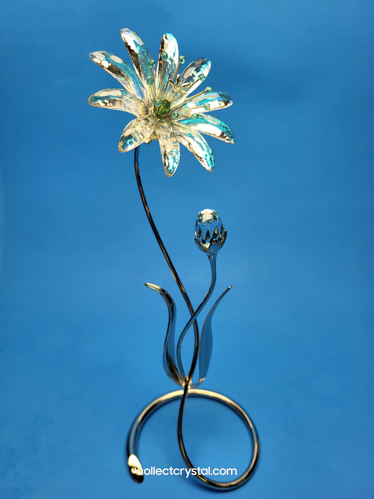 Dellaria Aquamarine - Paradise Flower s # 945872 Aurora Borealis