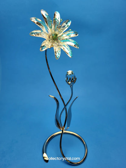 Dellaria Aquamarine - Paradise Flower s # 945872 Aurora Borealis