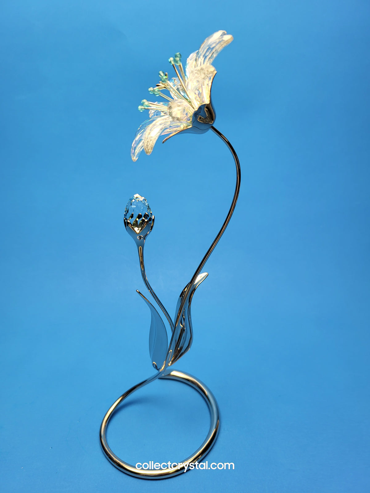 Dellaria Aquamarine - Paradise Flower s # 945872 Aurora Borealis