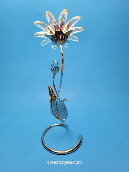 Dellaria Aquamarine - Paradise Flower s # 945872 Aurora Borealis