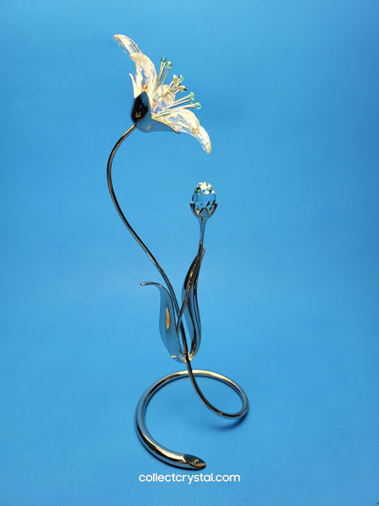 Dellaria Aquamarine - Paradise Flower s # 945872 Aurora Borealis