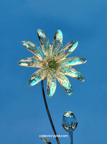 Dellaria Aquamarine - Paradise Flower s # 945872 Aurora Borealis