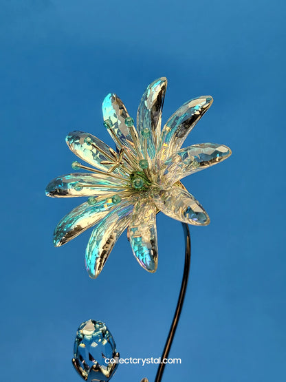 Dellaria Aquamarine - Paradise Flower s # 945872 Aurora Borealis