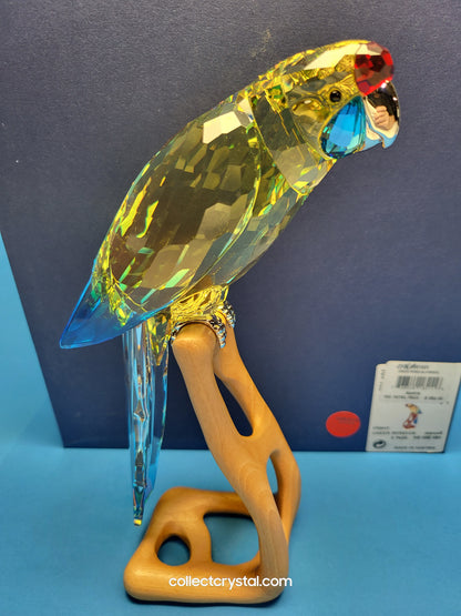 Paradise Birds -Green Rosella Jonquil Parrot Bird # 901601