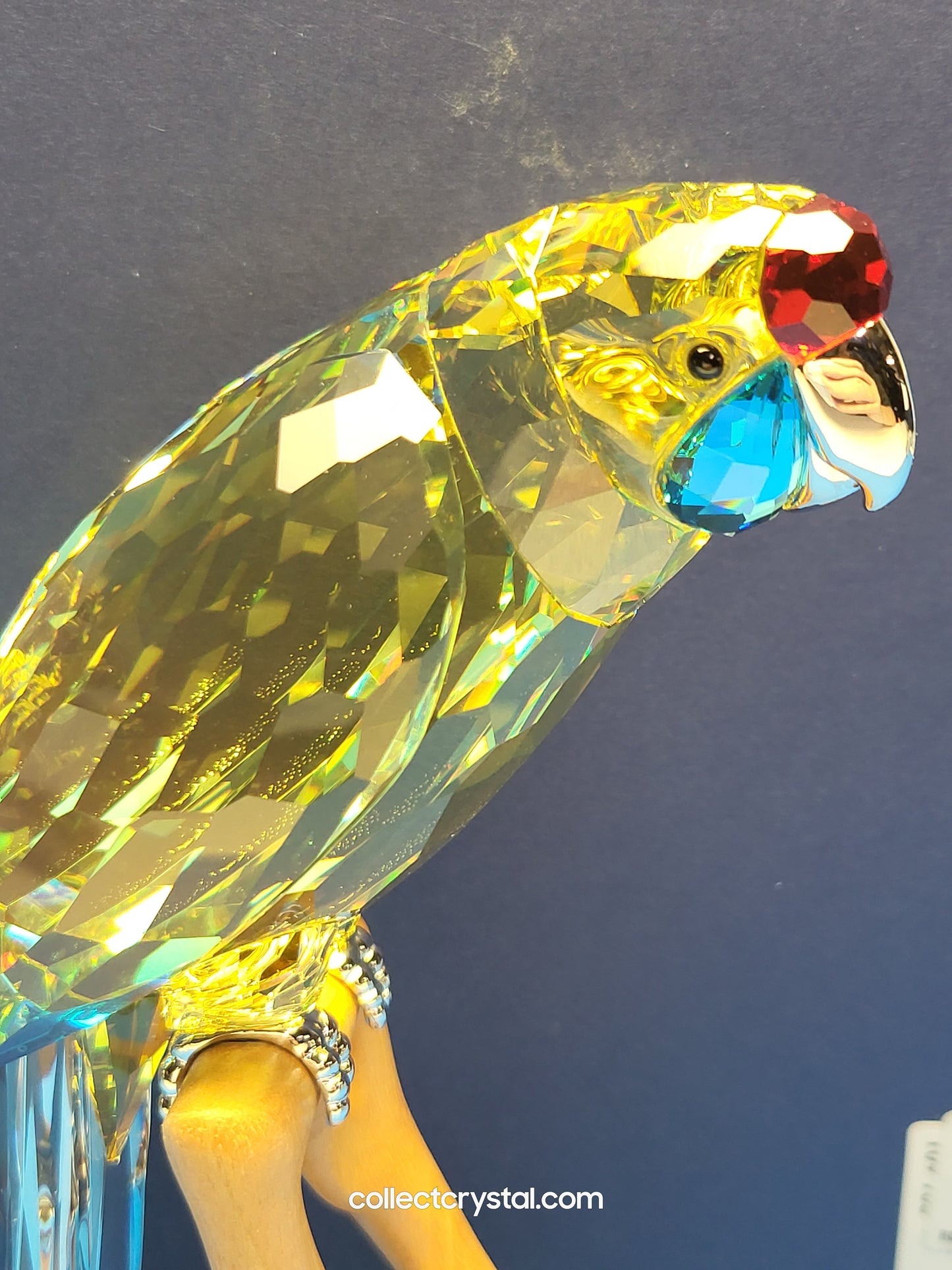 Paradise Birds -Green Rosella Jonquil Parrot Bird # 901601