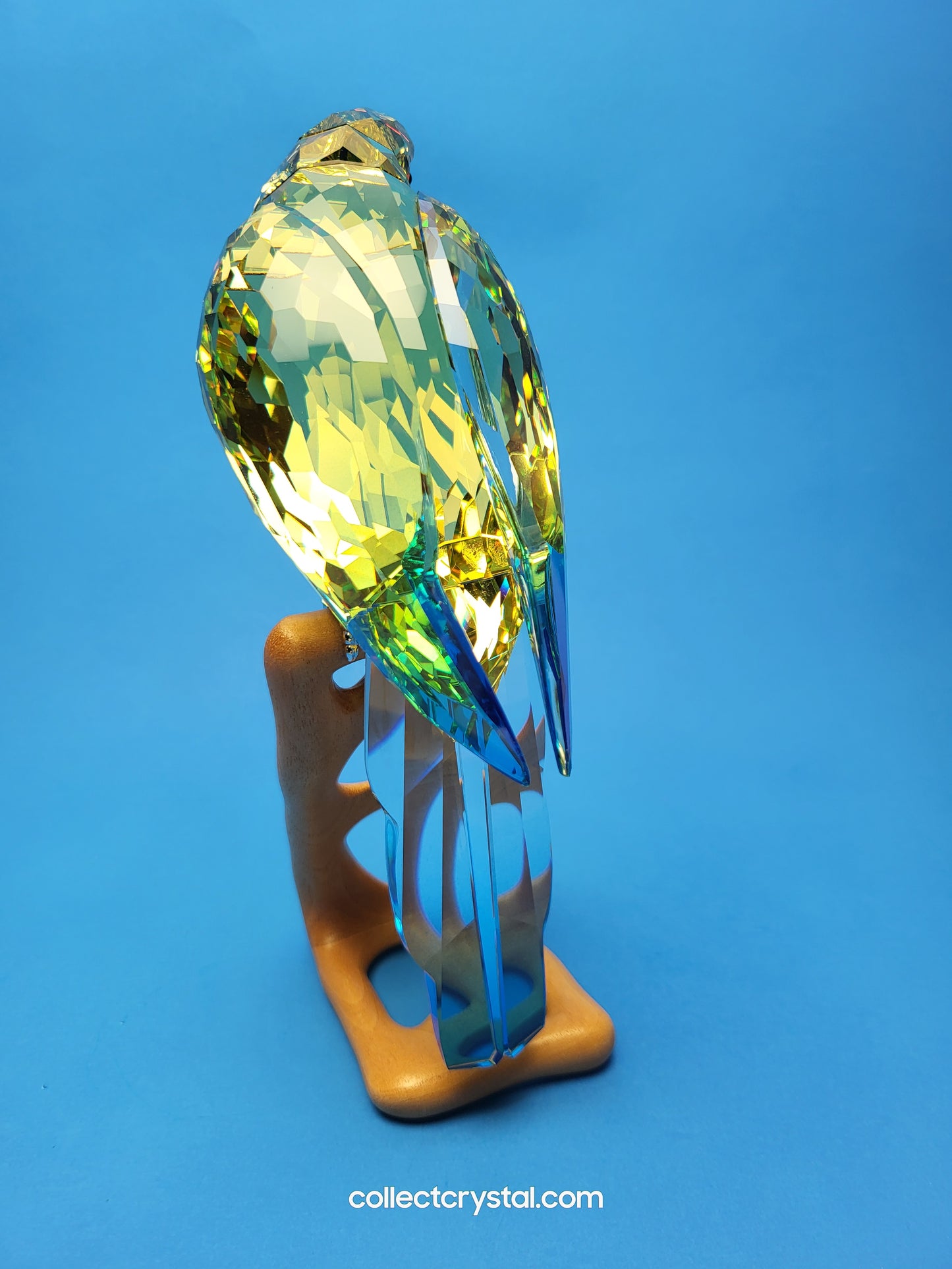Paradise Birds -Green Rosella Jonquil Parrot Bird # 901601