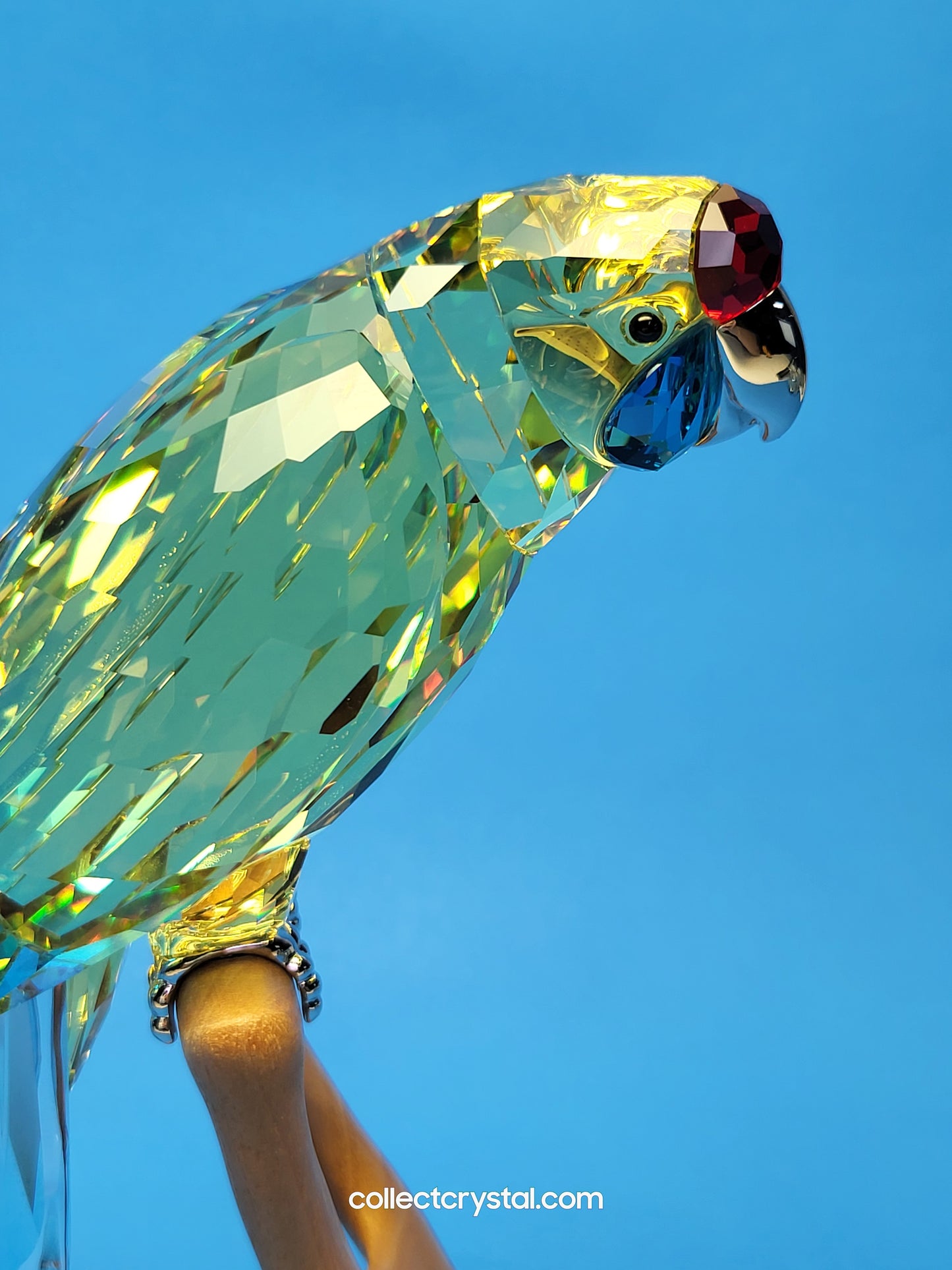 Paradise Birds -Green Rosella Jonquil Parrot Bird # 901601