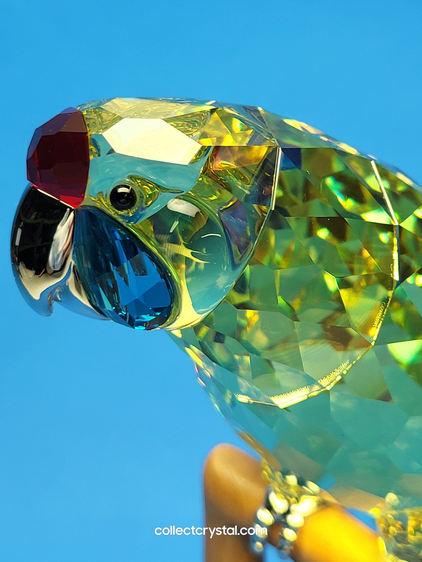 Paradise Birds -Green Rosella Jonquil Parrot Bird # 901601