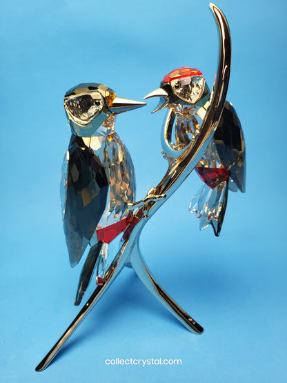 PARADISE BIRDS – WOODPECKERS BLACK DIAMOND 957562