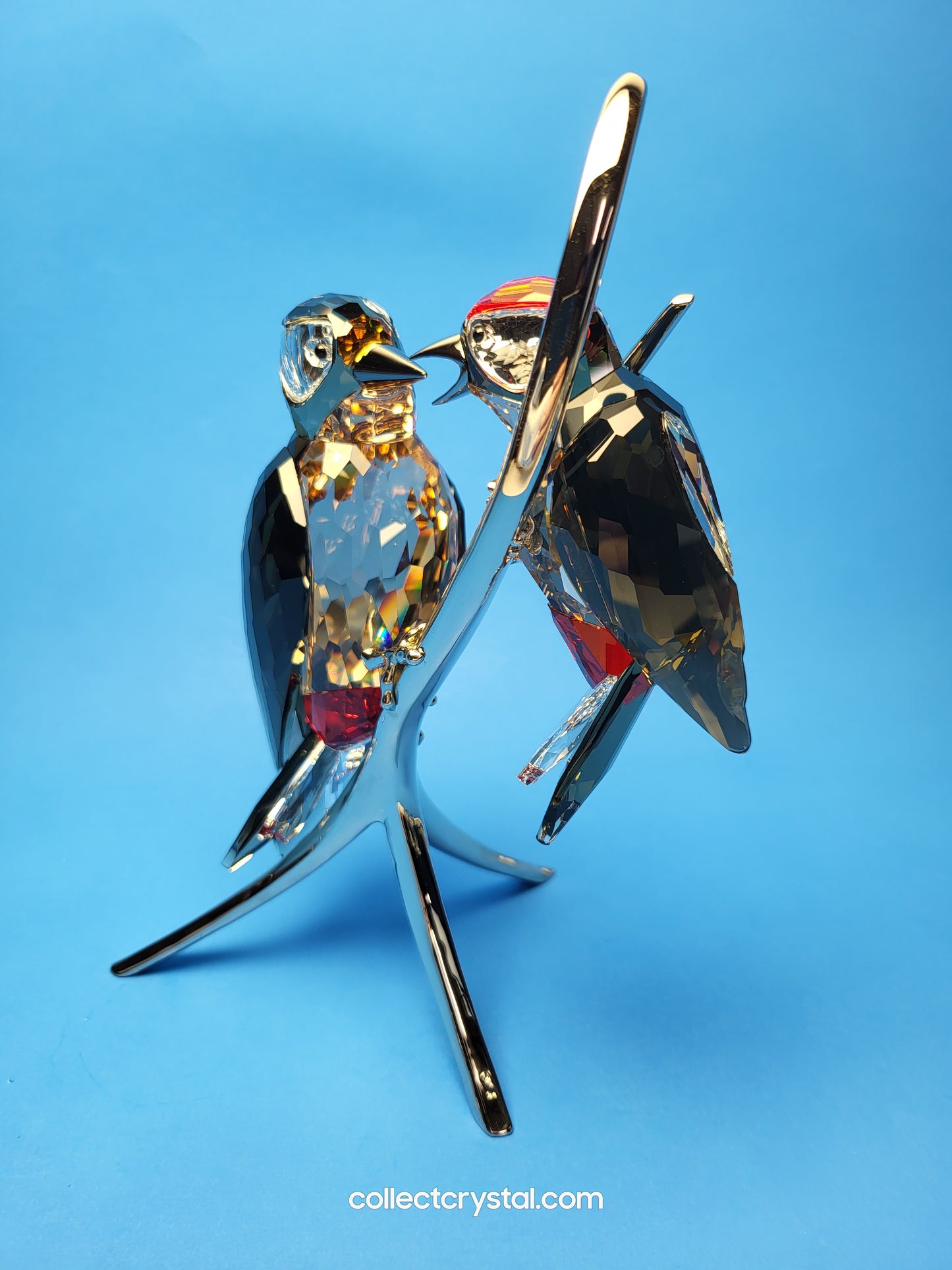 PARADISE BIRDS – WOODPECKERS BLACK DIAMOND 957562