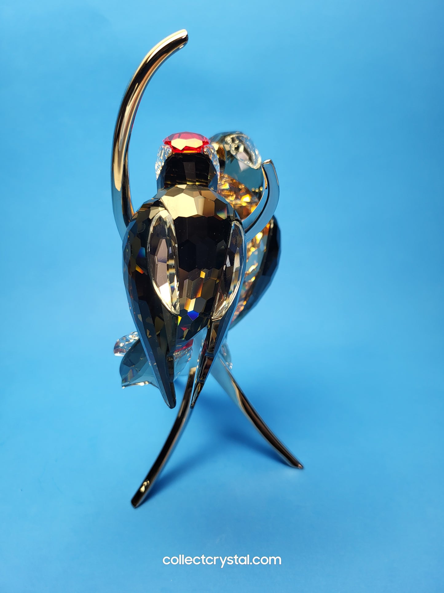 PARADISE BIRDS – WOODPECKERS BLACK DIAMOND 957562