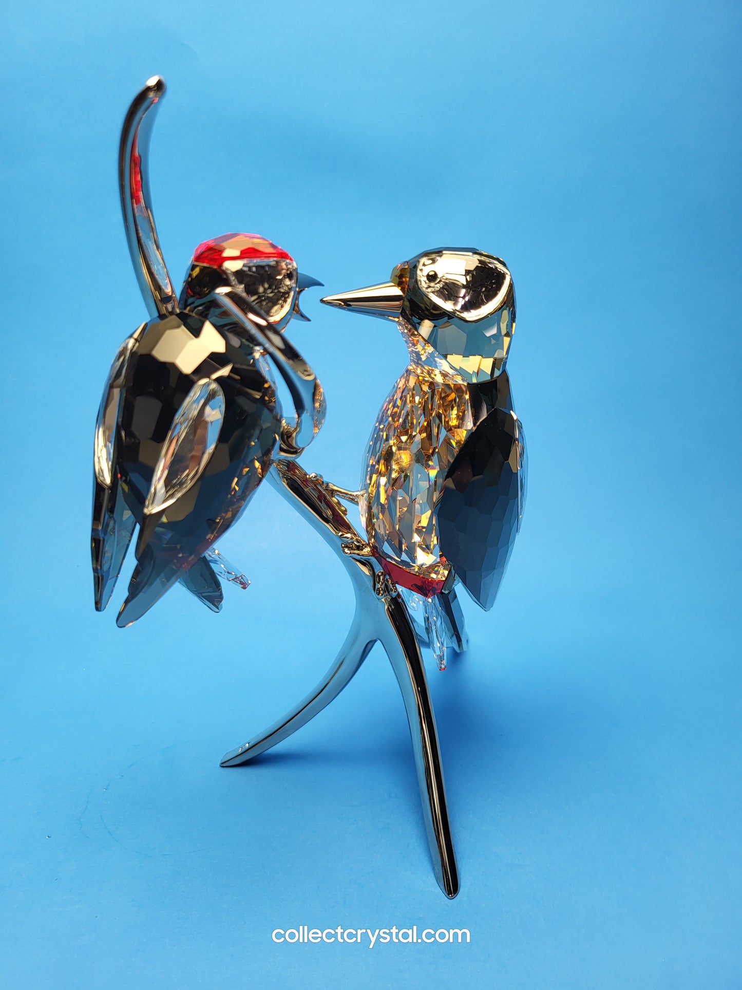 PARADISE BIRDS – WOODPECKERS BLACK DIAMOND 957562