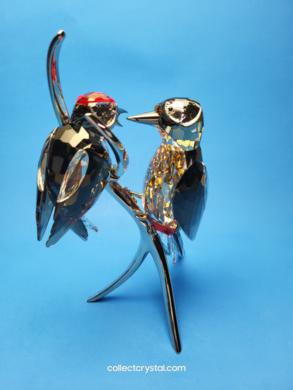 PARADISE BIRDS – WOODPECKERS BLACK DIAMOND 957562