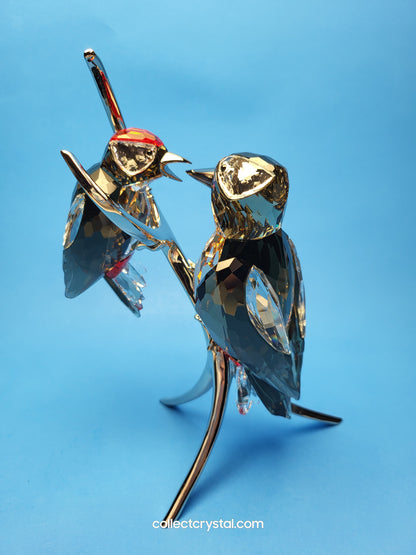 PARADISE BIRDS – WOODPECKERS BLACK DIAMOND 957562