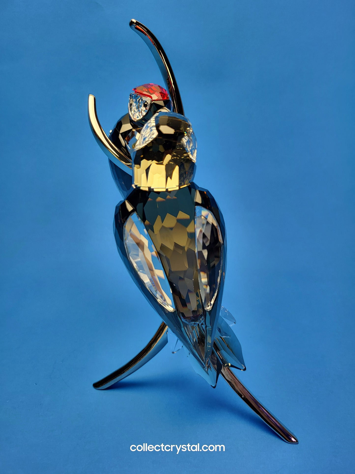 PARADISE BIRDS – WOODPECKERS BLACK DIAMOND 957562