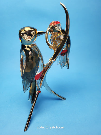 PARADISE BIRDS – WOODPECKERS BLACK DIAMOND 957562