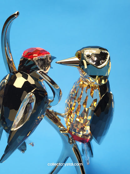 PARADISE BIRDS – WOODPECKERS BLACK DIAMOND 957562