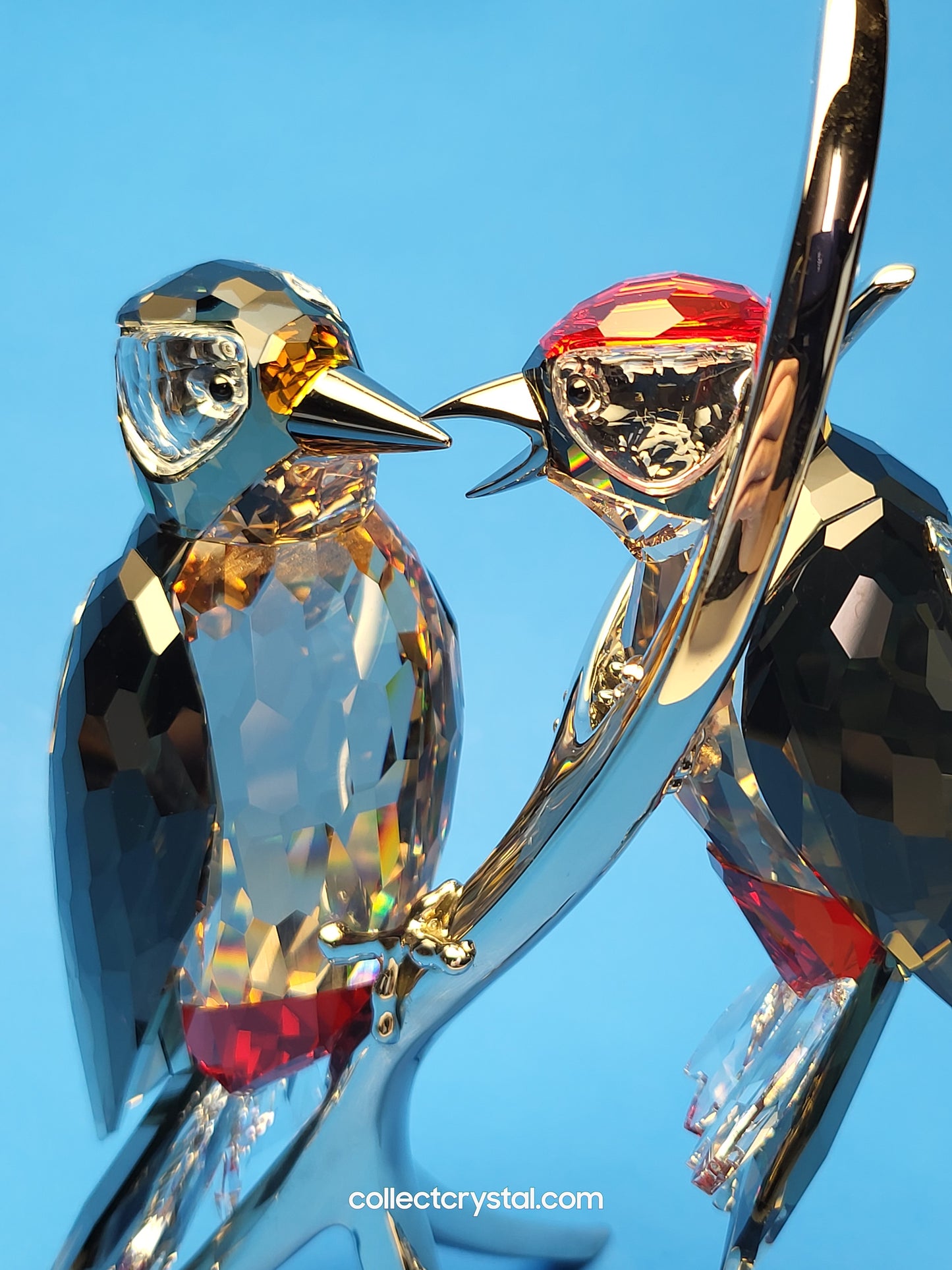 PARADISE BIRDS – WOODPECKERS BLACK DIAMOND 957562