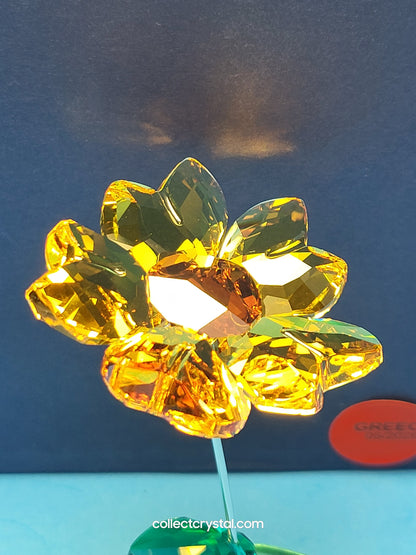 ROCKING FLOWER – JOY SUNFLOWER 1016551