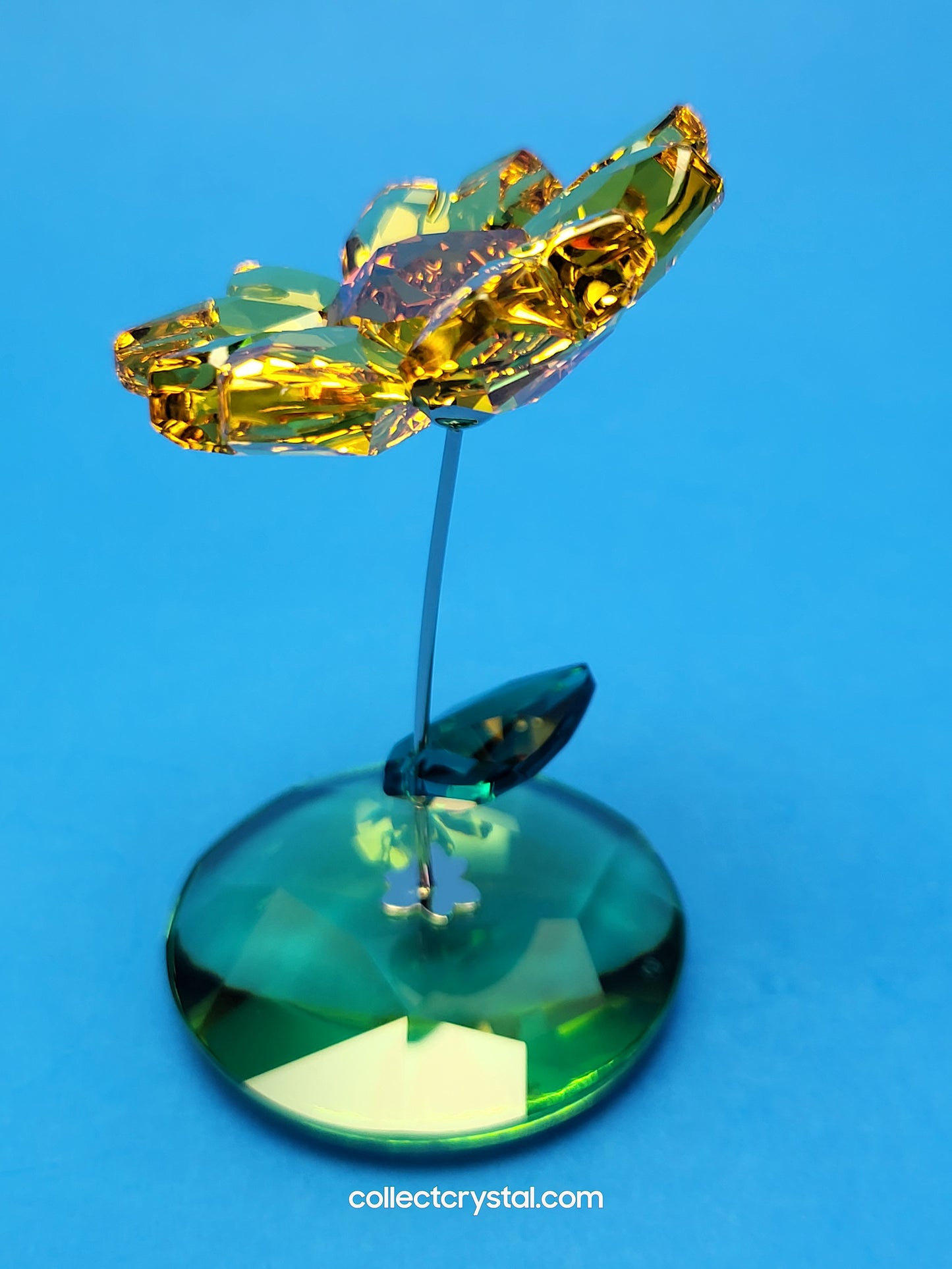 ROCKING FLOWER – JOY SUNFLOWER 1016551