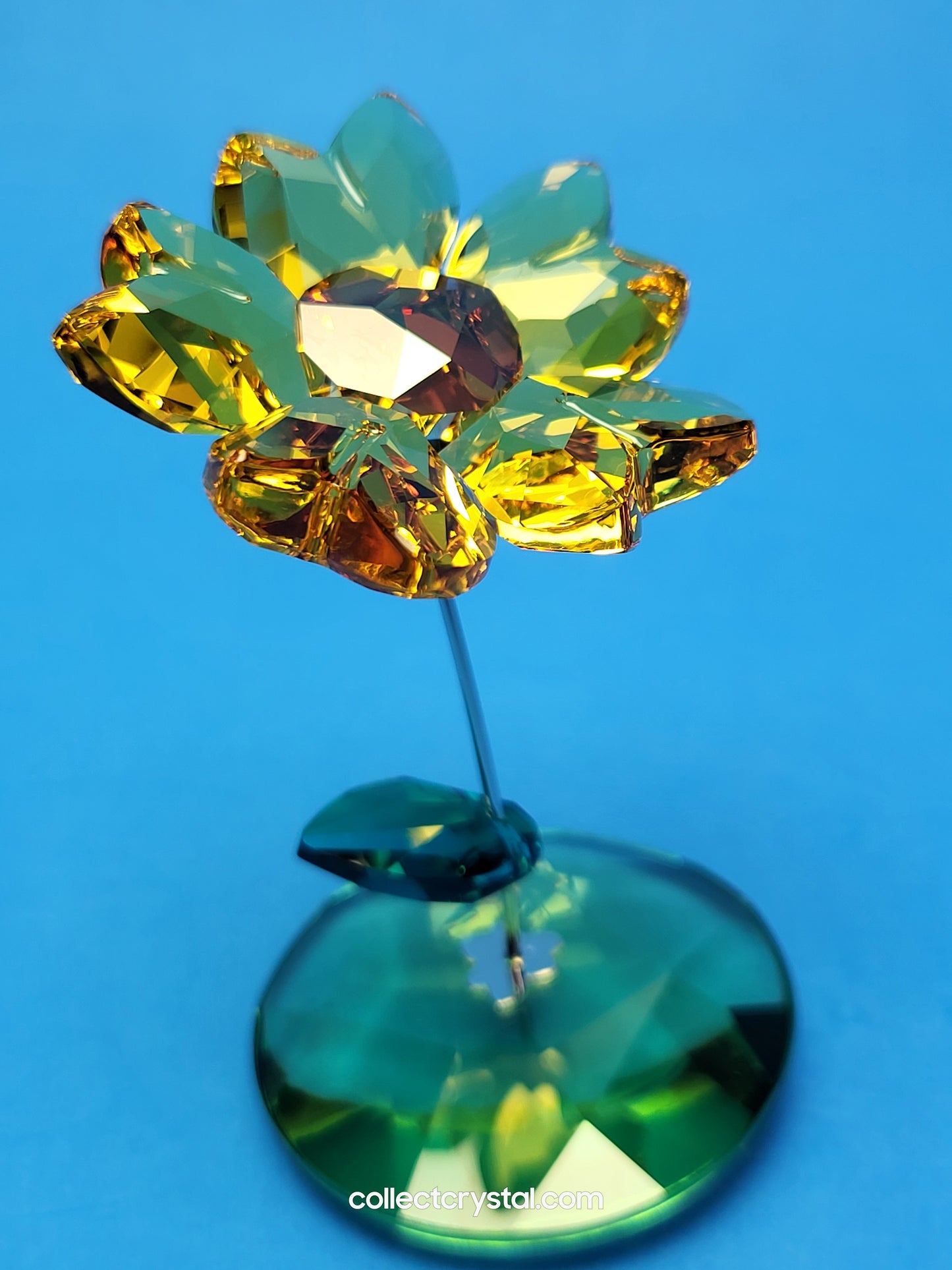 ROCKING FLOWER – JOY SUNFLOWER 1016551