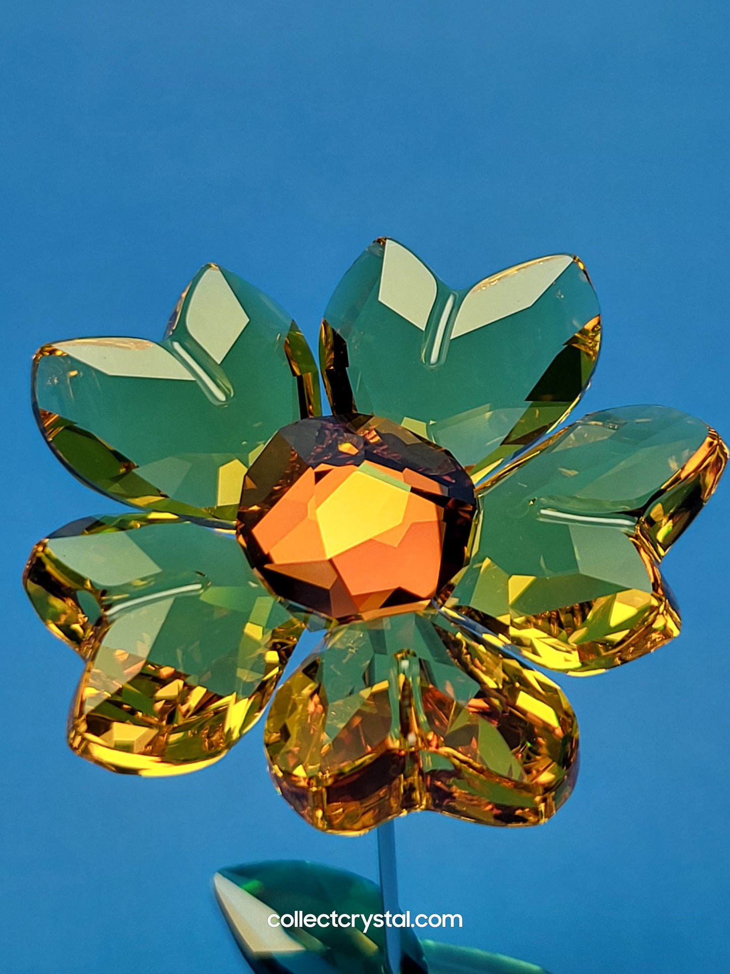 ROCKING FLOWER – JOY SUNFLOWER 1016551
