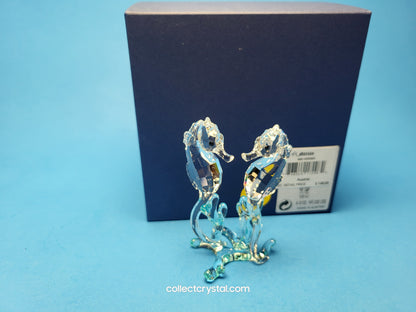 SEA HORSES / SEAHORSES 885589 on blue coral