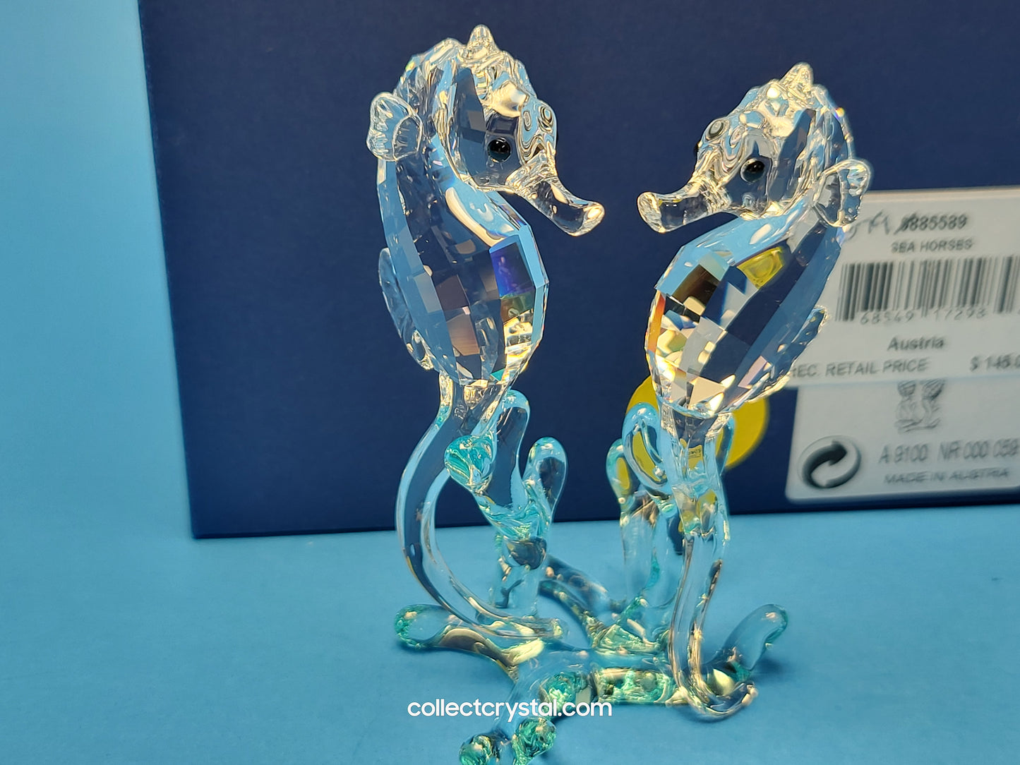 SEA HORSES / SEAHORSES 885589 on blue coral
