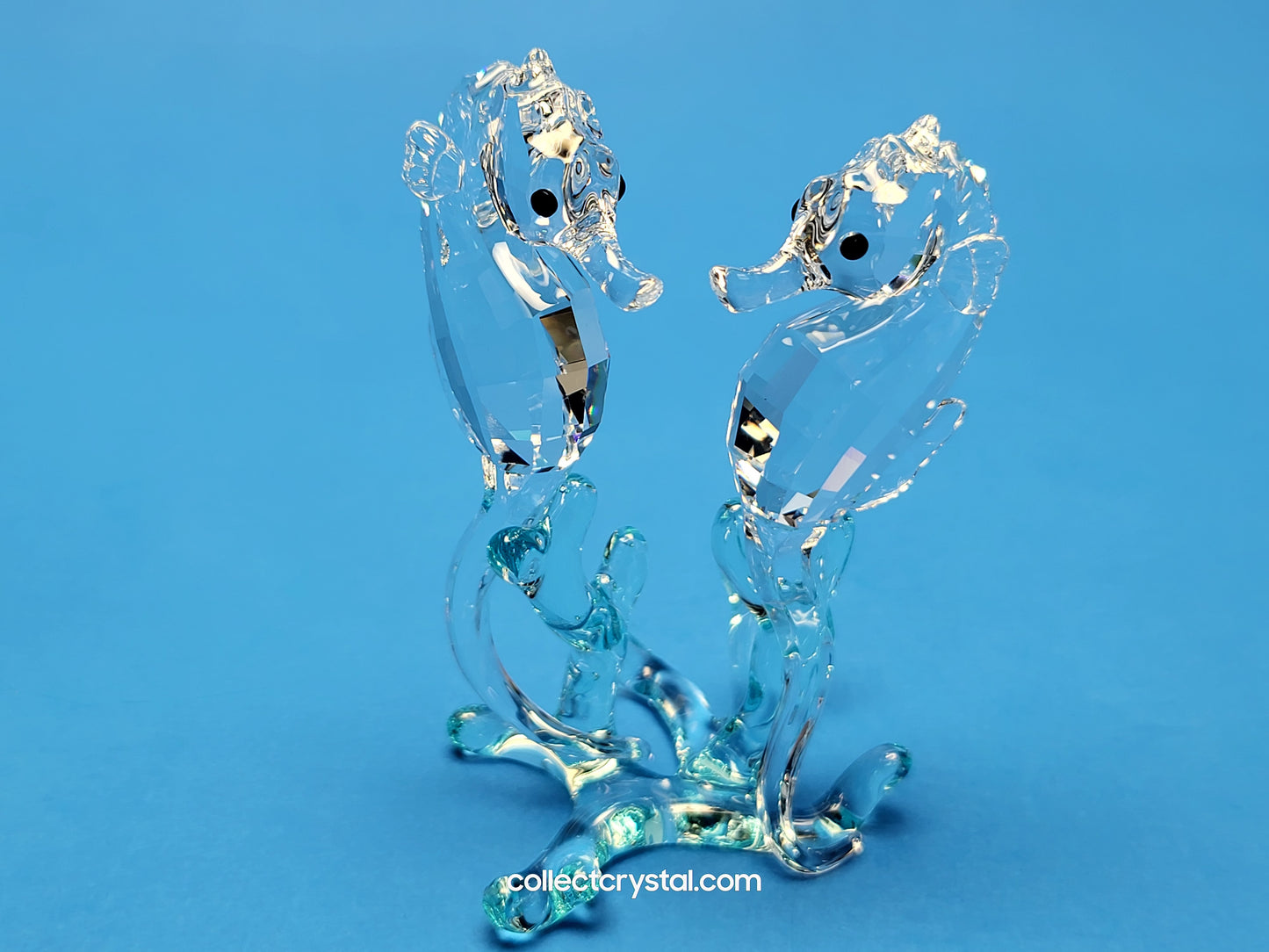 SEA HORSES / SEAHORSES 885589 on blue coral