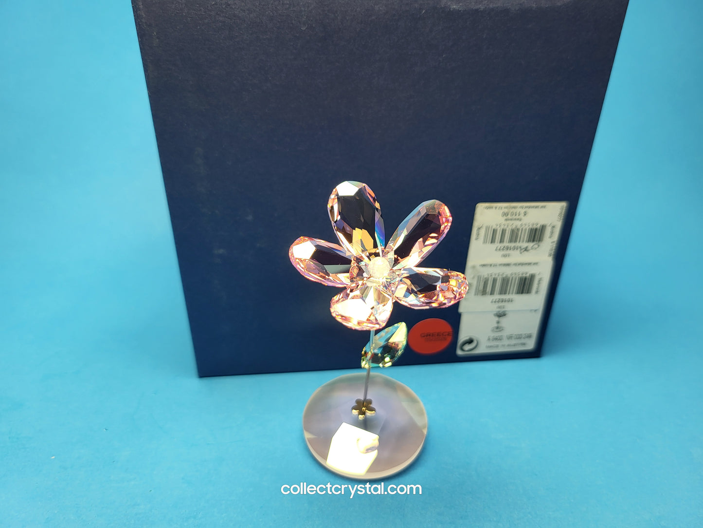 ROCKING FLOWER – LOU ROSE 1016277