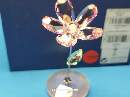 ROCKING FLOWER – LOU ROSE 1016277