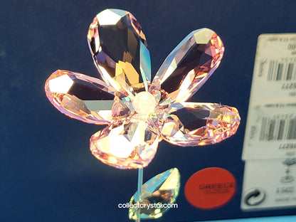 ROCKING FLOWER – LOU ROSE 1016277