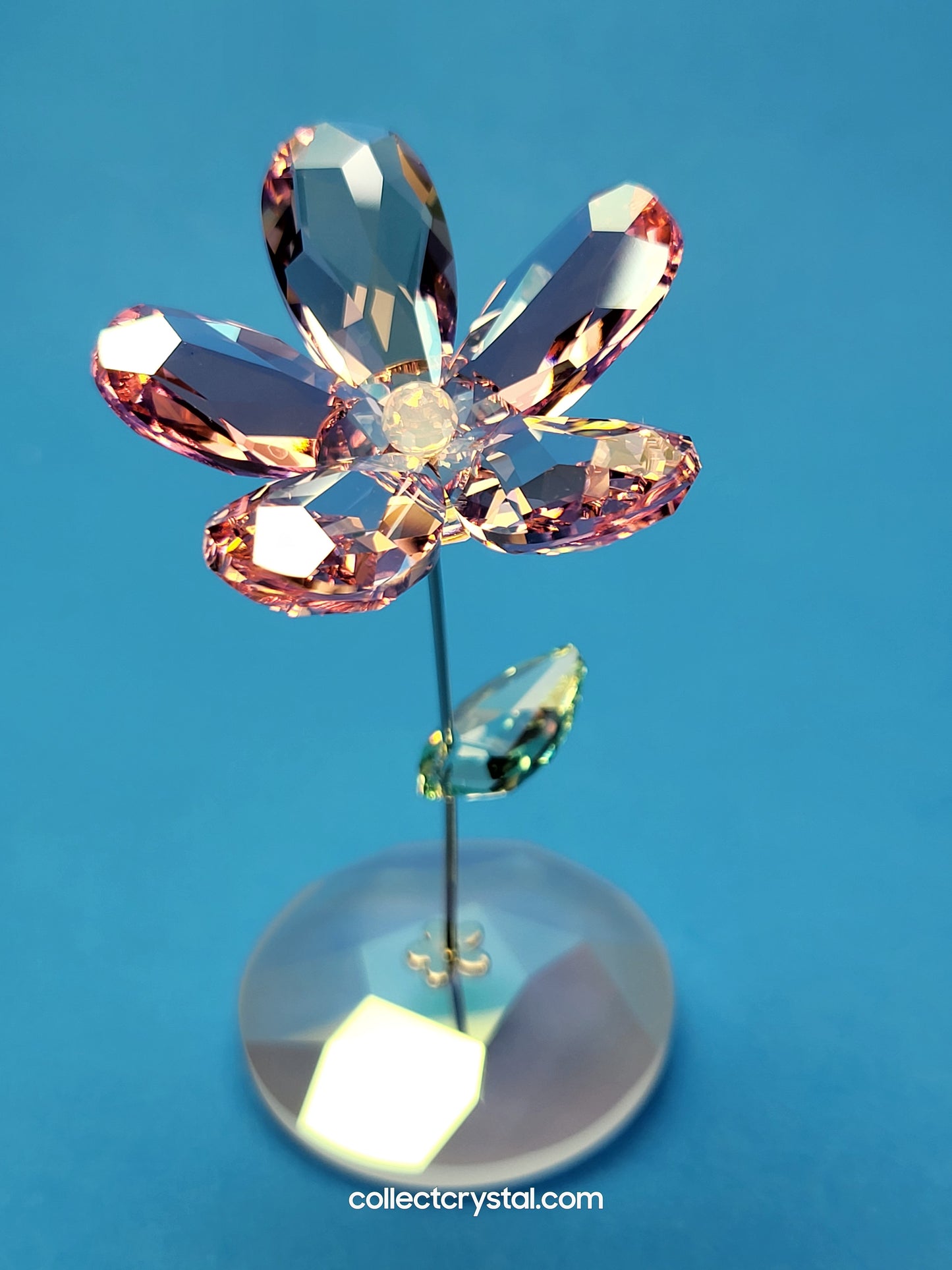 ROCKING FLOWER – LOU ROSE 1016277