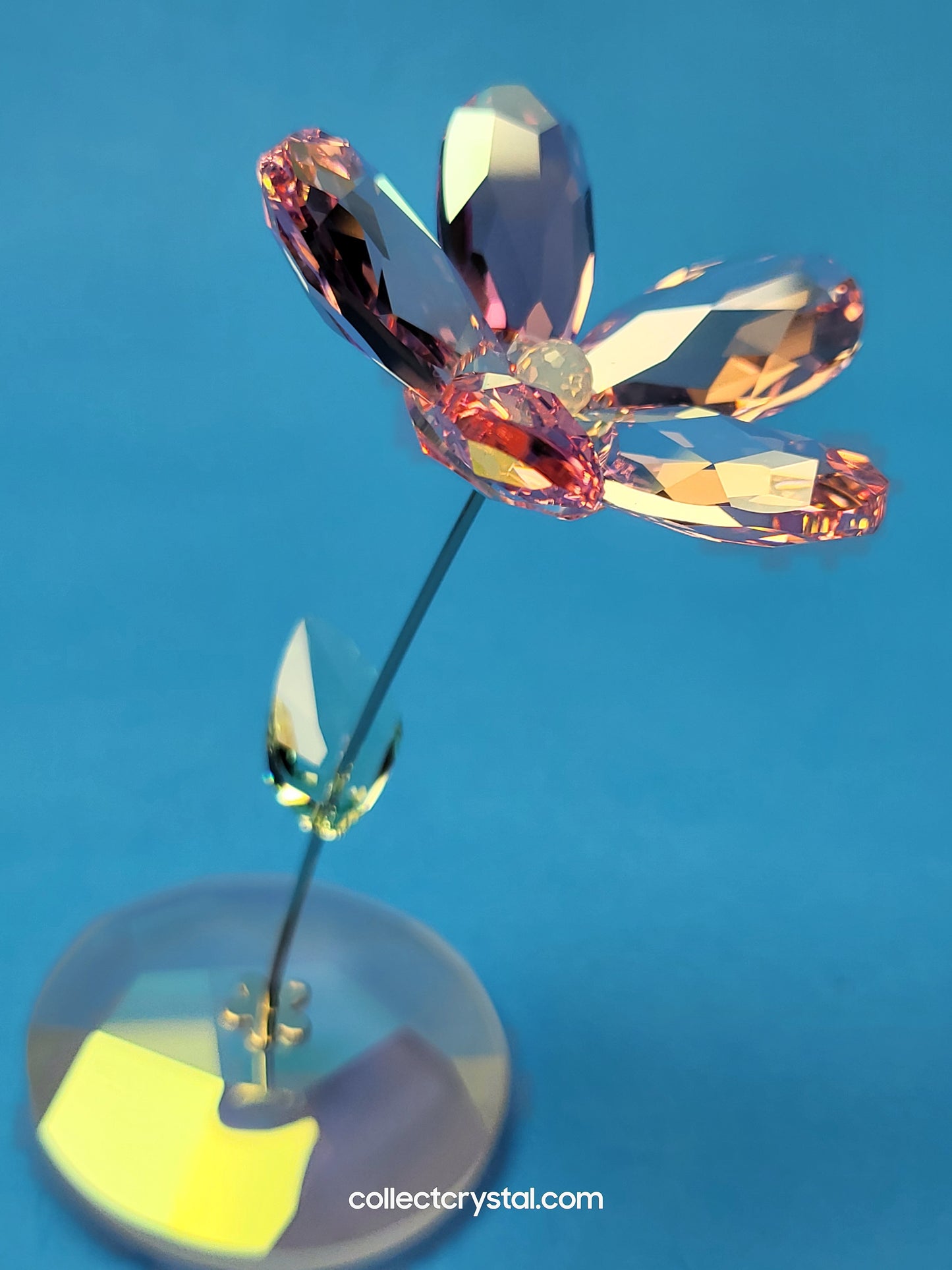 ROCKING FLOWER – LOU ROSE 1016277