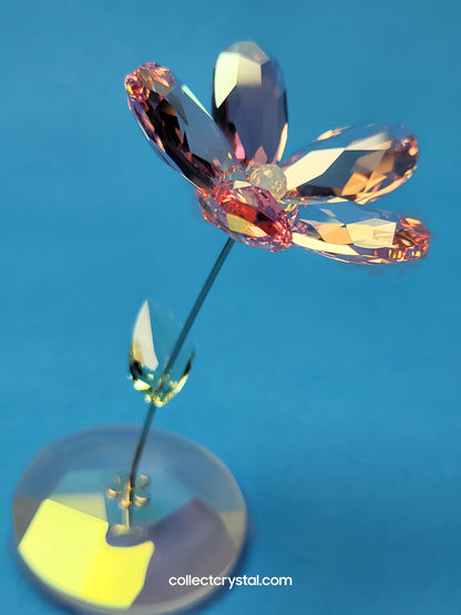 ROCKING FLOWER – LOU ROSE 1016277