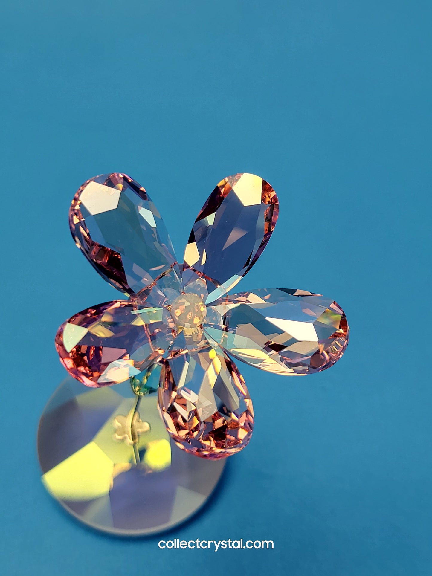 ROCKING FLOWER – LOU ROSE 1016277